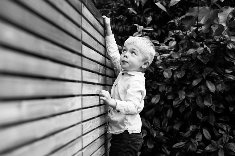Boy climbing fence