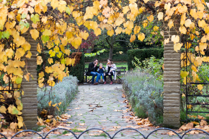 family of four sitting on a bench with autumn leaves in the foreground. 