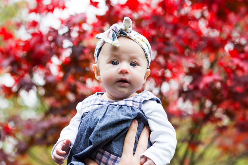 Baby girl with bow in her hair, in front of red leaves. 