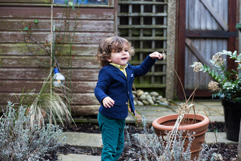 Little boy touching flower in garden. 