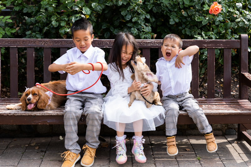 Three children and two dogs having fun sitting on a bench.