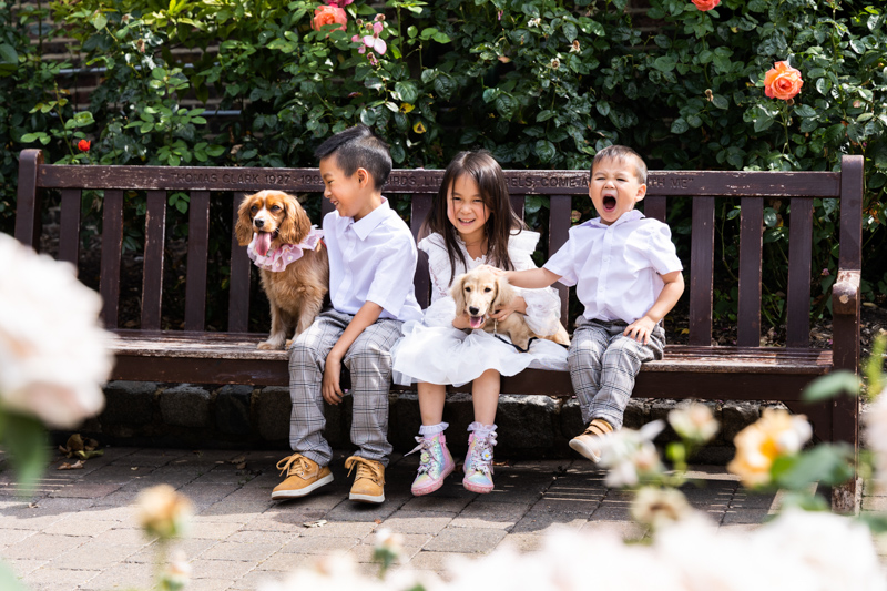 Three children and two dogs having fun on a bench.