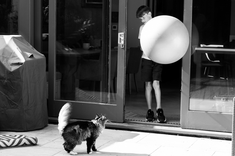 Boy carrying huge ball looking at cat
