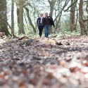 Man and lady arm in arm walking through wood across autumn leaves.