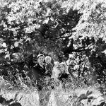 man, lady, girl and boy surrounded by trees and long grass